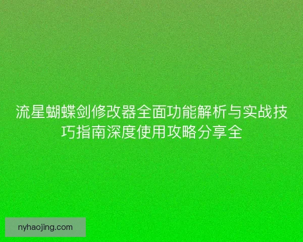 流星蝴蝶剑修改器全面功能解析与实战技巧指南深度使用攻略分享全